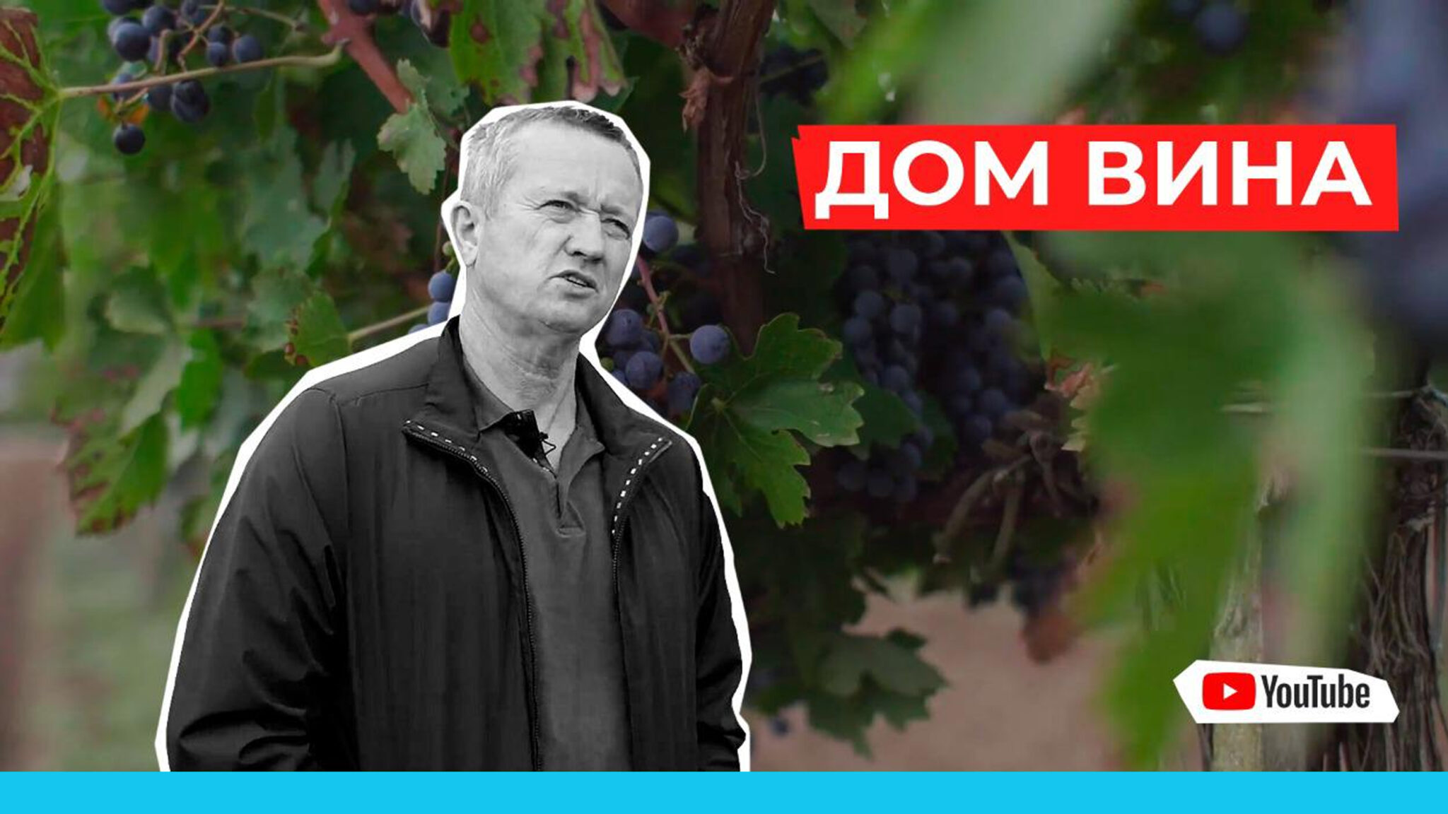 Как построить семейный и экологичный бизнес? Винодельческое хозяйство. Крым