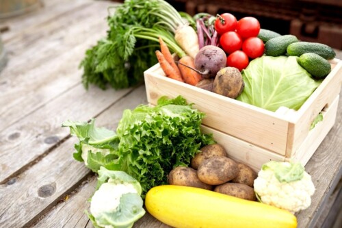Аграриям возместят затраты на выращивание овощей и строительство теплиц