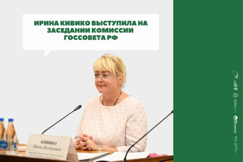 Ирина Кивико выступила на заседании Комиссии Госсовета РФ